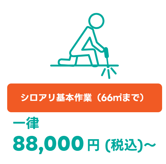 シロアリ基本作業（66㎡まで）